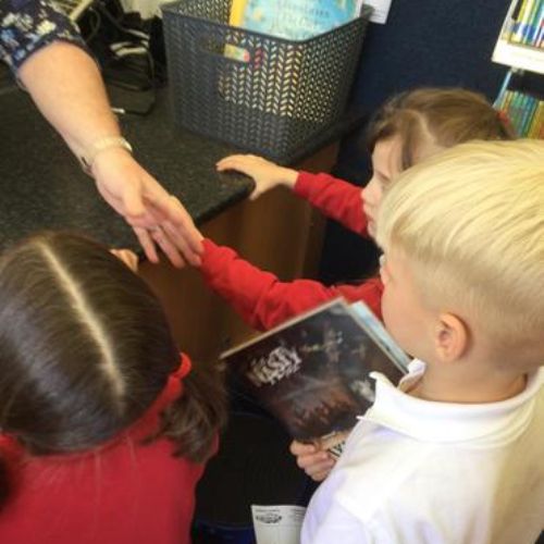 The children had a great time choosing some new books from the library van.