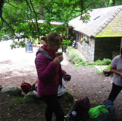 Dodd Wood walk - summer 2022